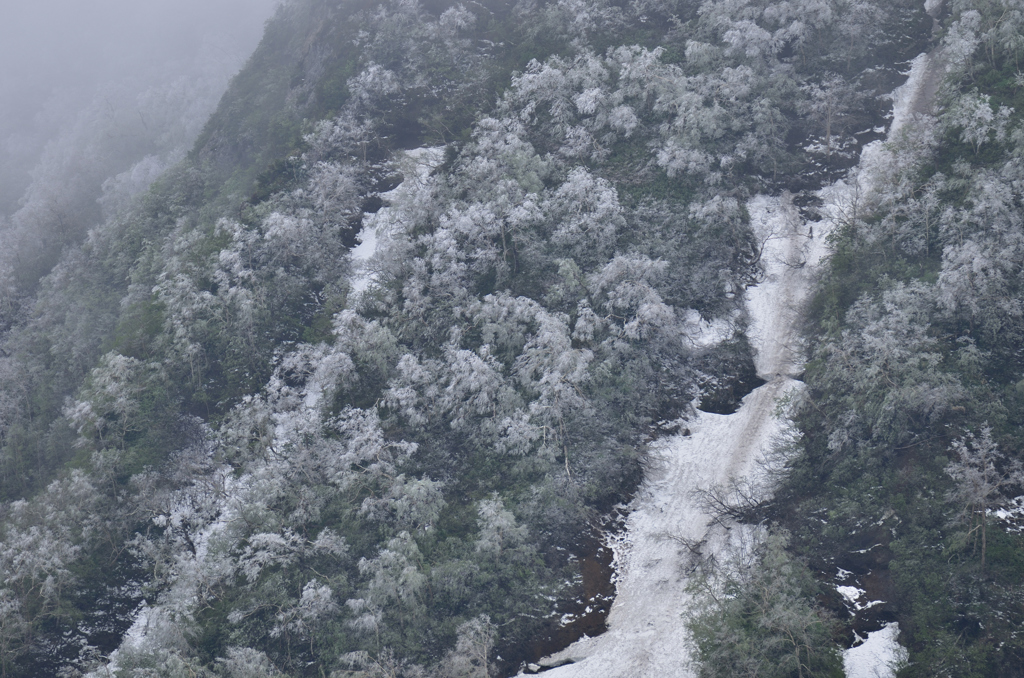 初夏なのに雪化粧