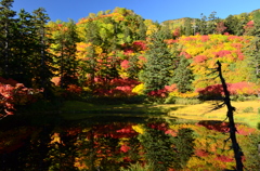 紅葉ピークの滝見沼