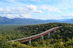 紅葉の松見大橋