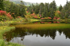 紅葉の緑沼
