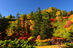 今が紅葉ピーク！