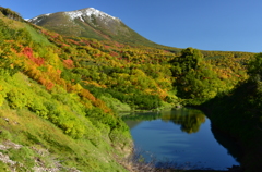 雪と紅葉