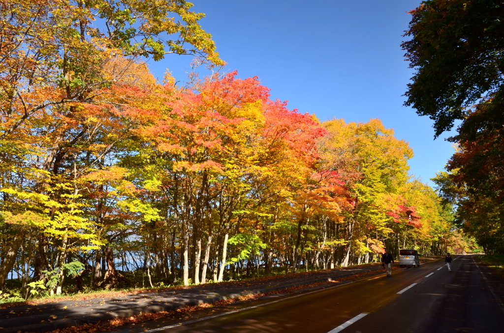 紅葉散歩道