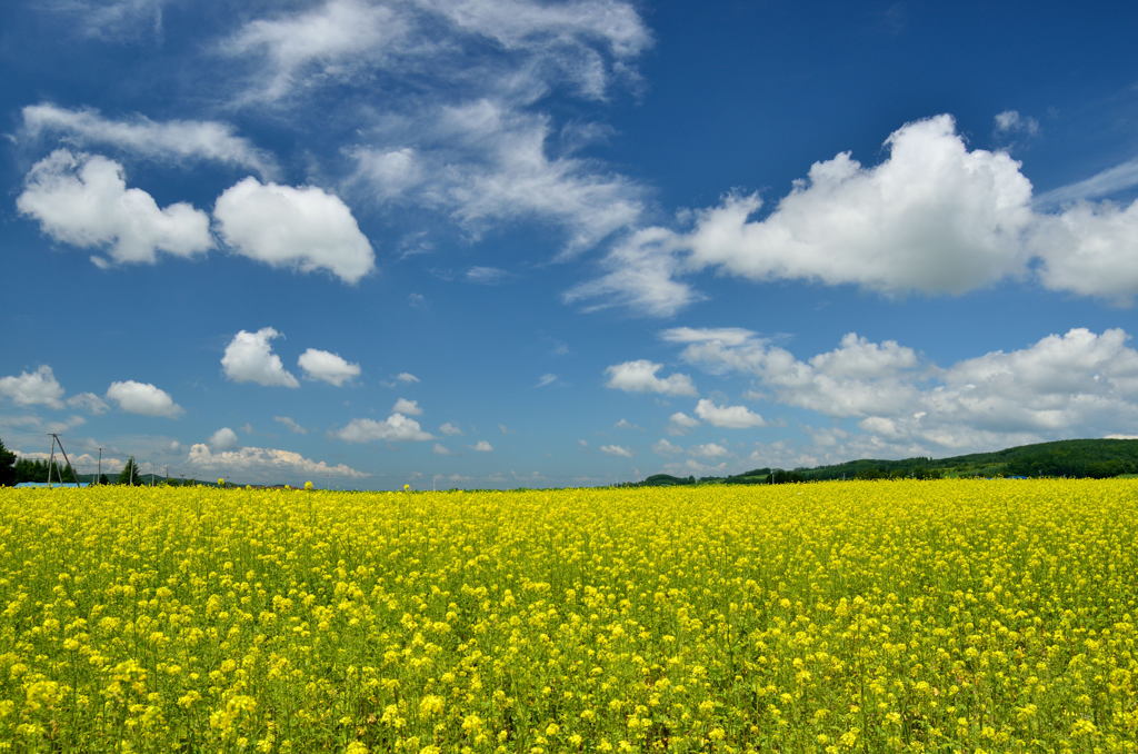 爽やかな夏！