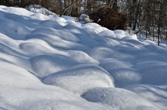 雪面