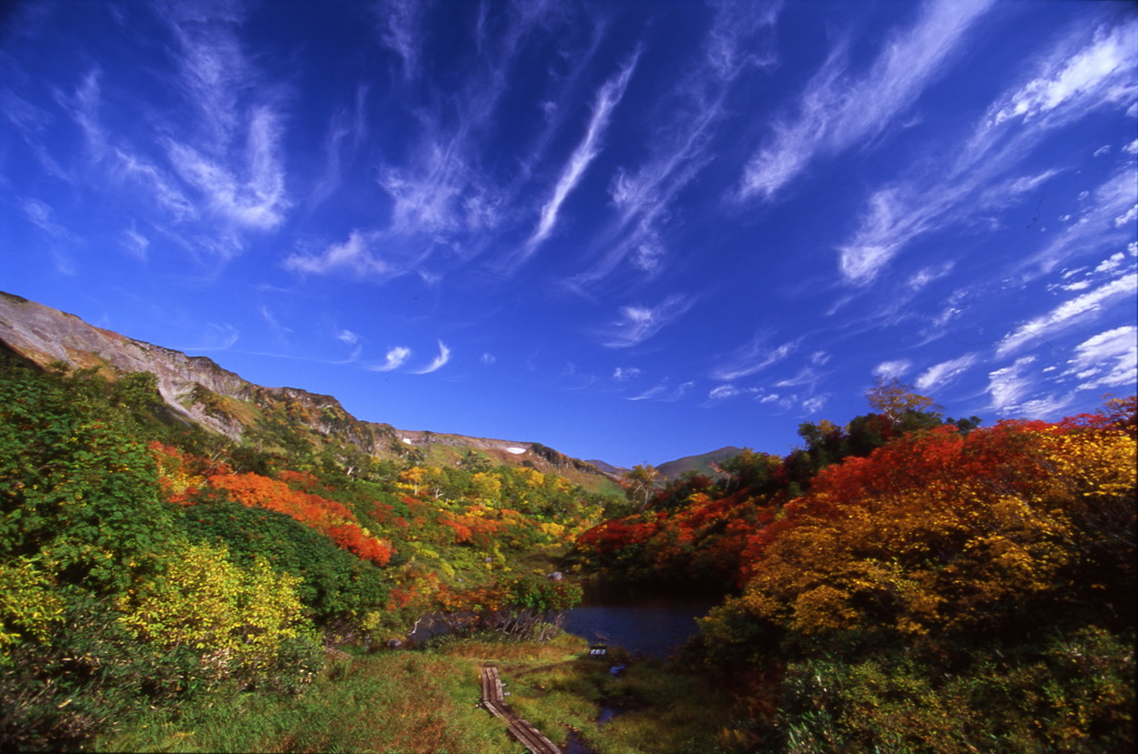武部沼の紅葉