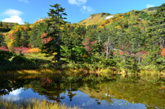 紅葉の土俵沼