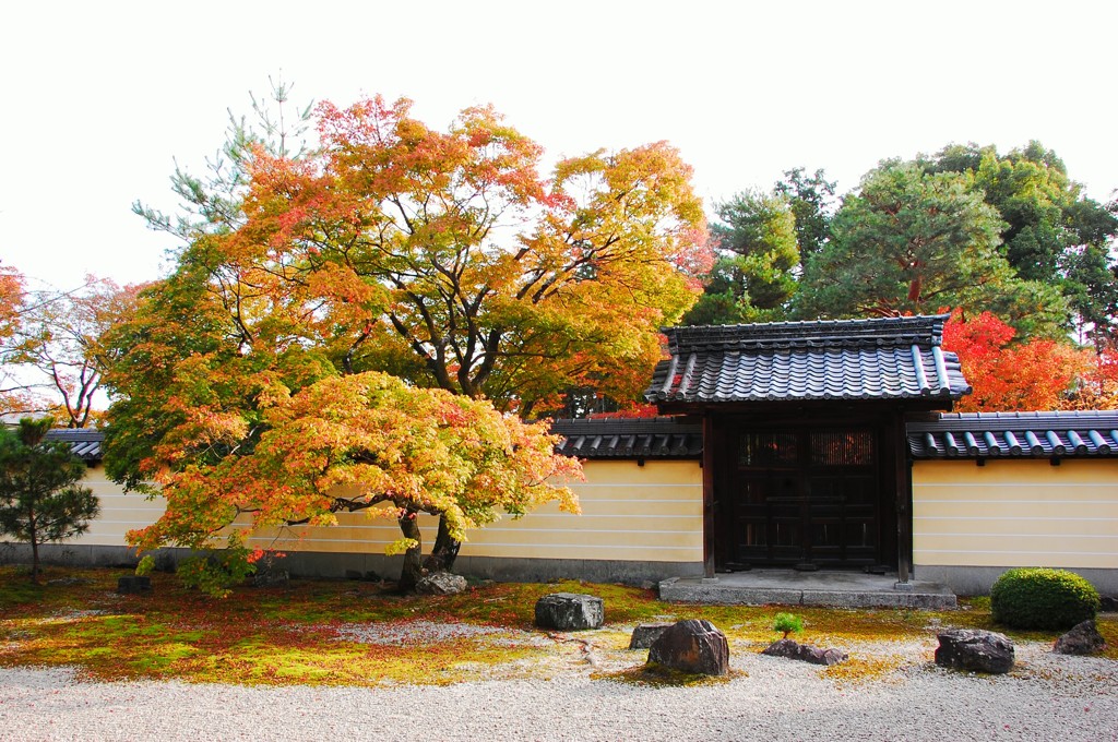 等持院 紅葉