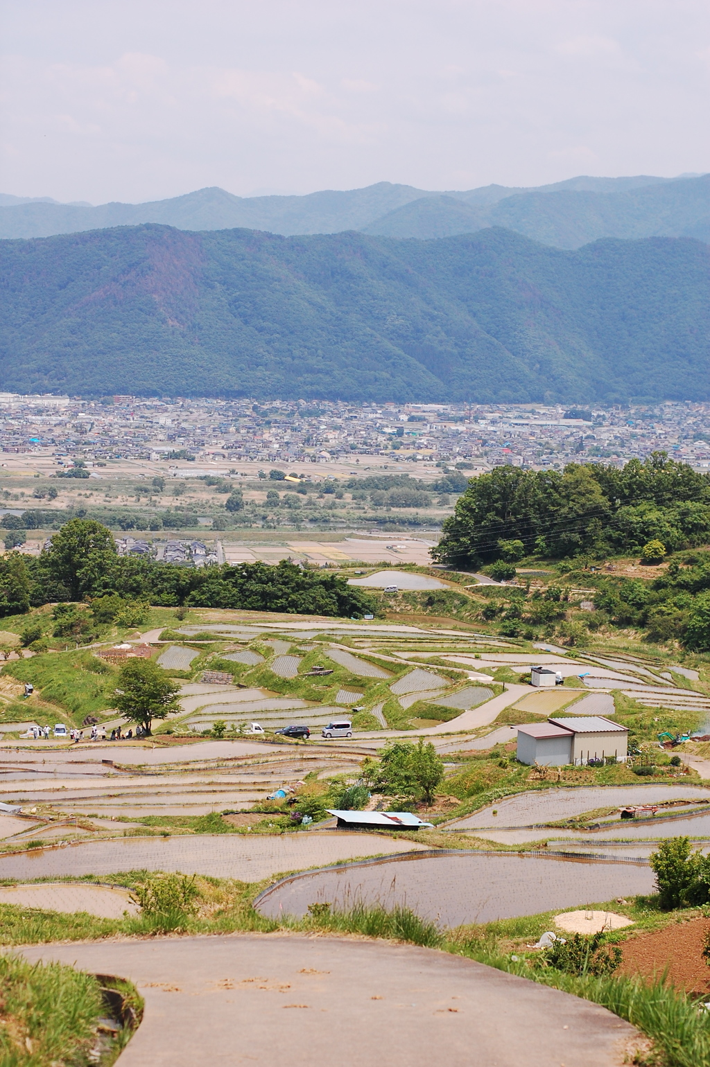 姨捨の棚田