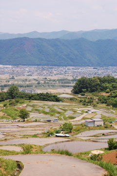 姨捨の棚田