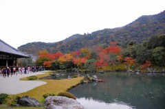 にぎわう天龍寺