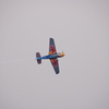Redbul AIR RACE 予選5