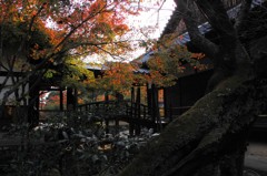 等持院 橋
