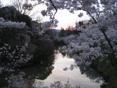 今年の上田城址公園