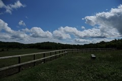 初夏の青空