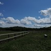 初夏の青空