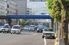 最長老　ｉｎ　Ｓｔｒｅｅｔ