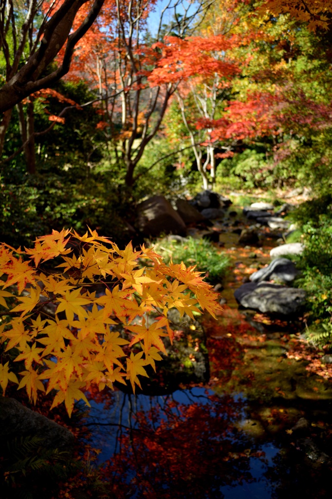日本庭園