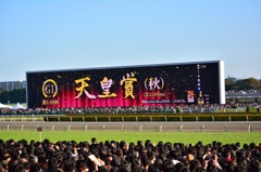 大型テレビ
