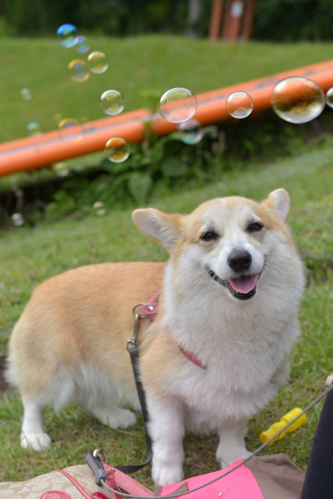 笑顔