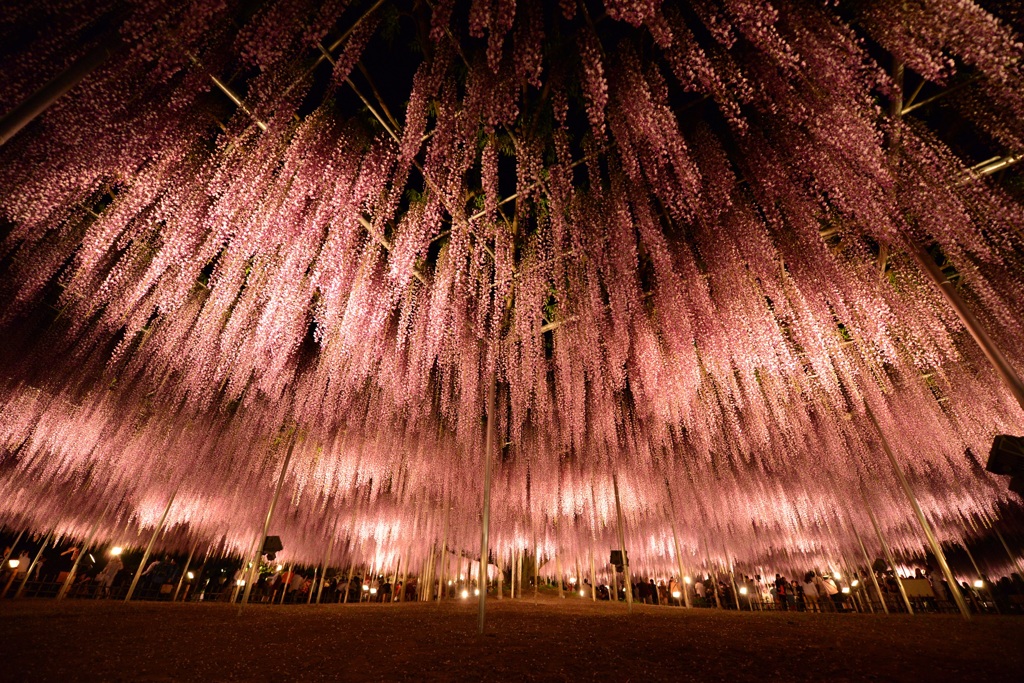 世紀の越えて