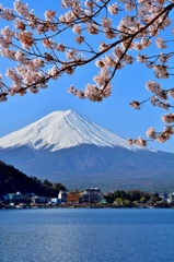 日本の春