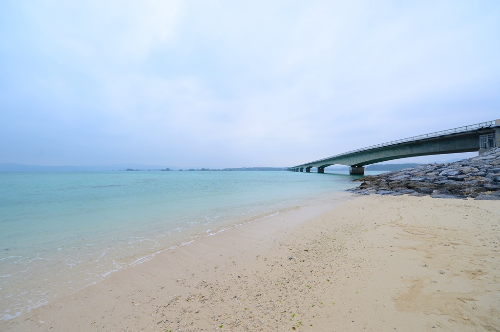 南の島からの贈り物5