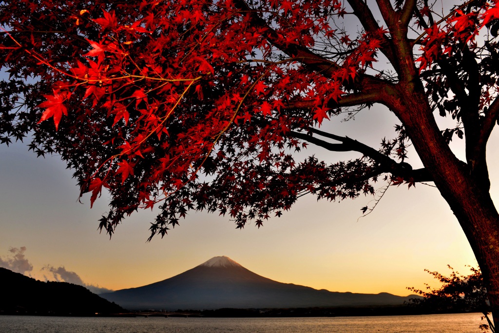 Japanese