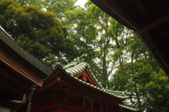 川越・氷川神社