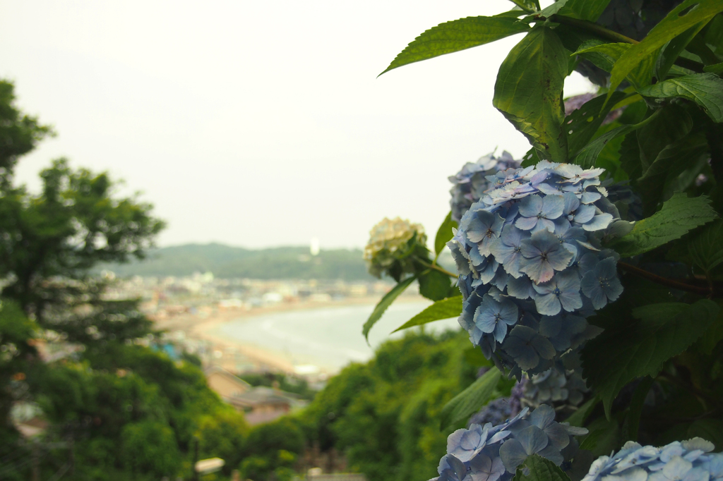 成就院