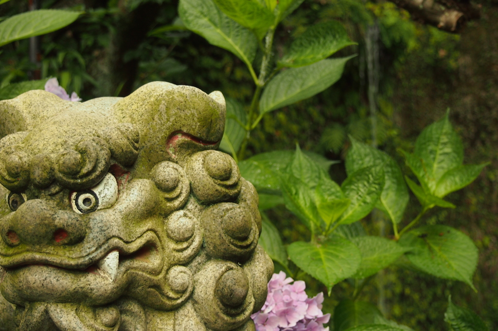銭洗弁財天宇賀福神社・下之水神宮一条の滝