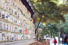 明治神宮