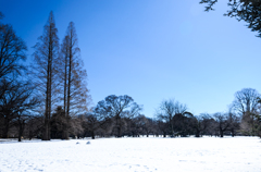 東京の雪、残ってます。