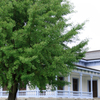 旧学習院初等科