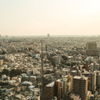 東京都世田谷区