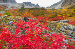 2013karasawa-0147
