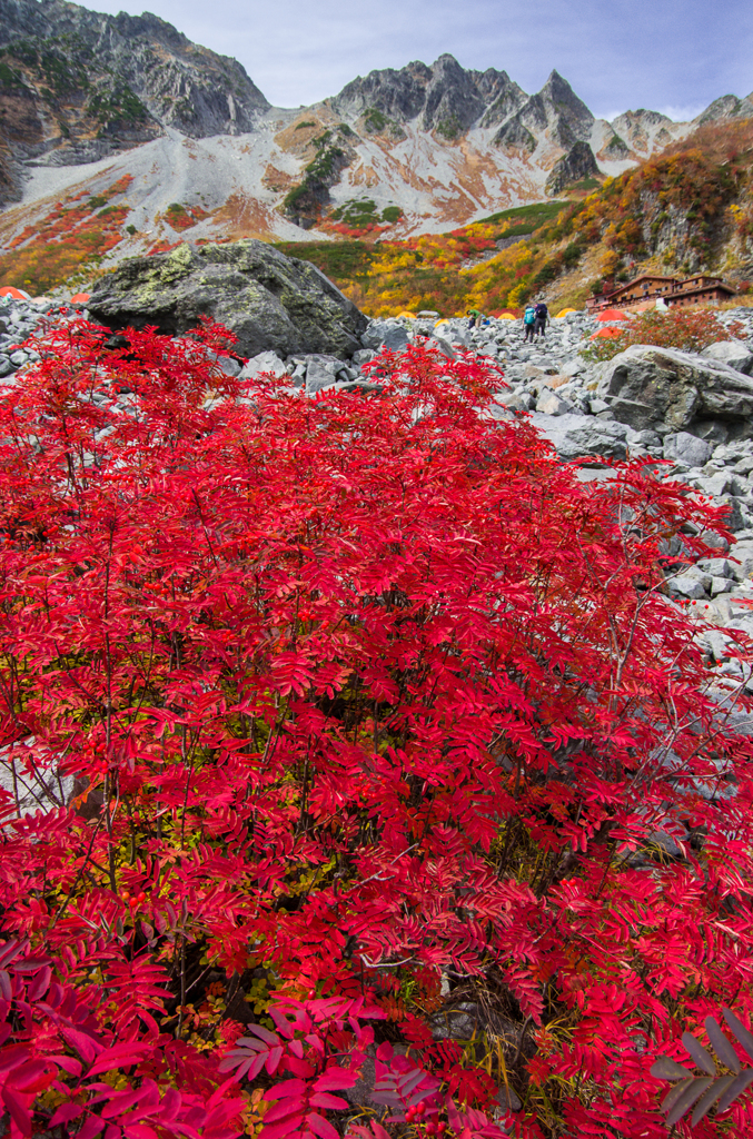2013karasawa-0080