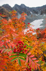 2013karasawa-0149