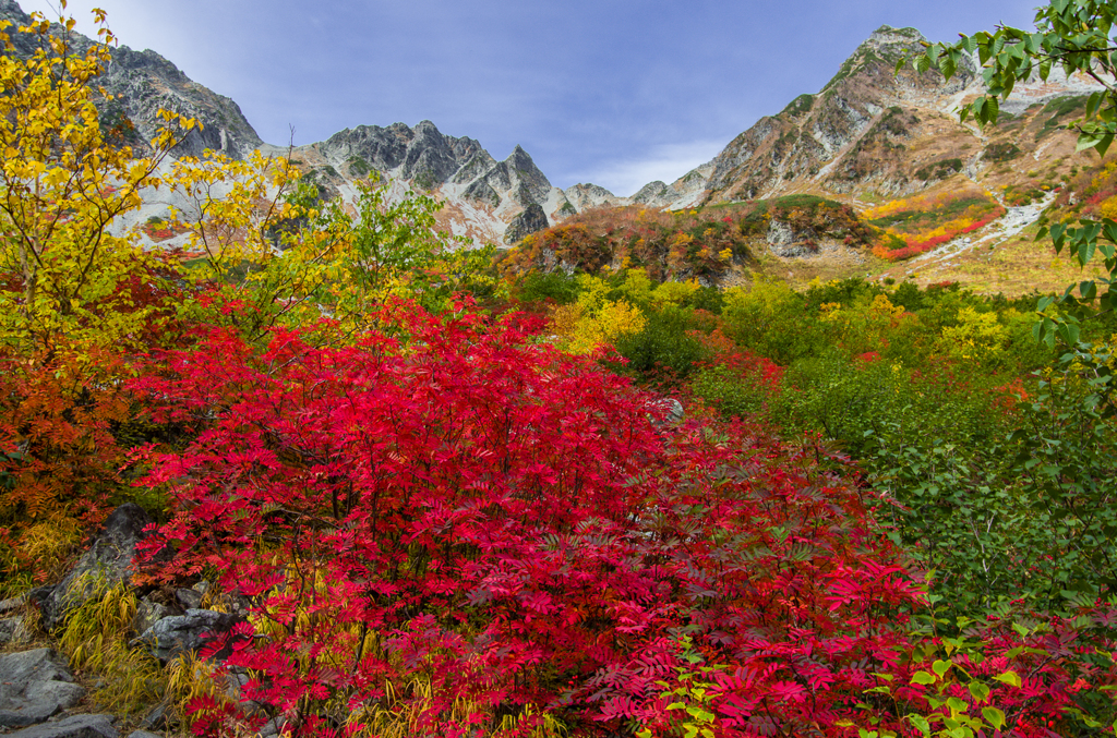 2013karasawa-0061