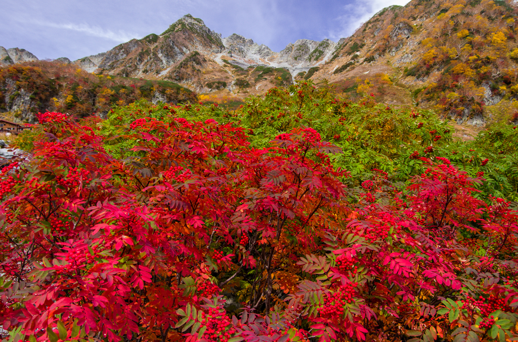 2013karasawa-0085