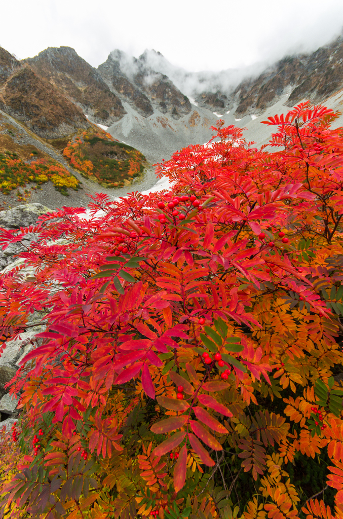 2013karasawa-0183