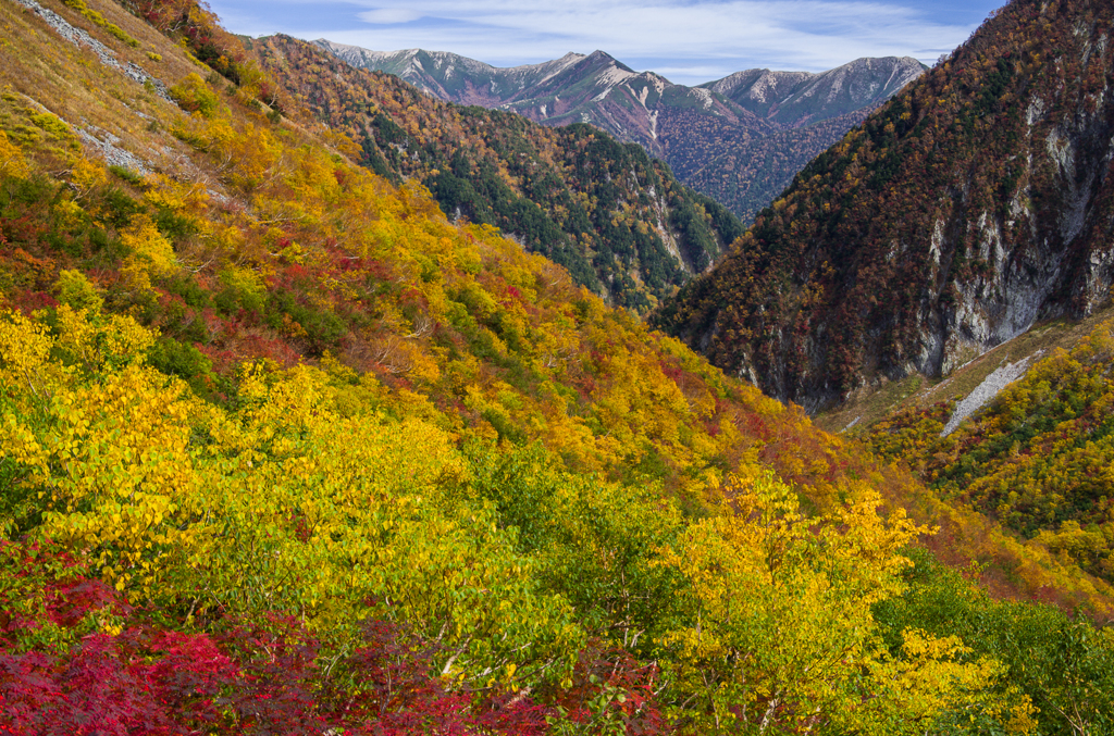 2013karasawa-0070-2