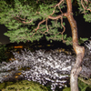 IMGP0097