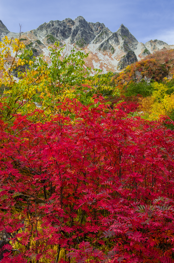 2013karasawa-0060