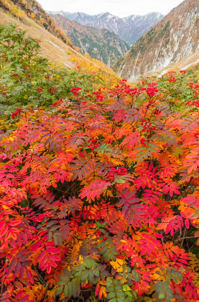 2013karasawa-0143