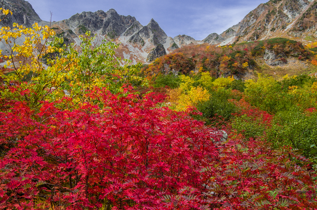 2013karasawa-0062