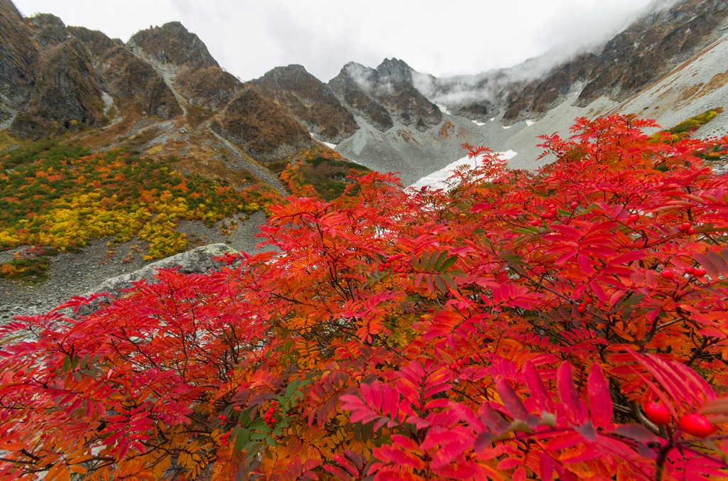 2013karasawa-0179