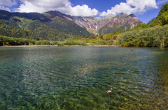 2013karasawa-0008
