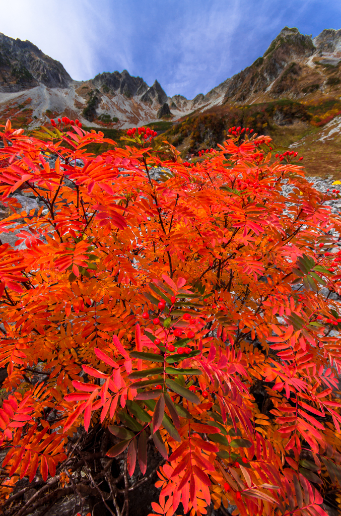2013karasawa-0117