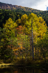 2013karasawa-0020
